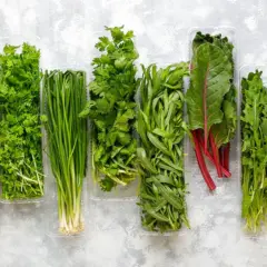 Oncologyspecialistspllc